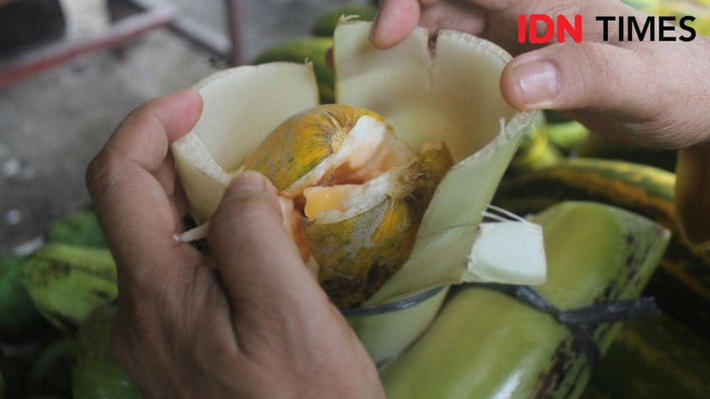 Timun suri yang berasal dari Aceh hanya ada di Bulan Ramadan (IDN Times/Masdalena Napitupulu)