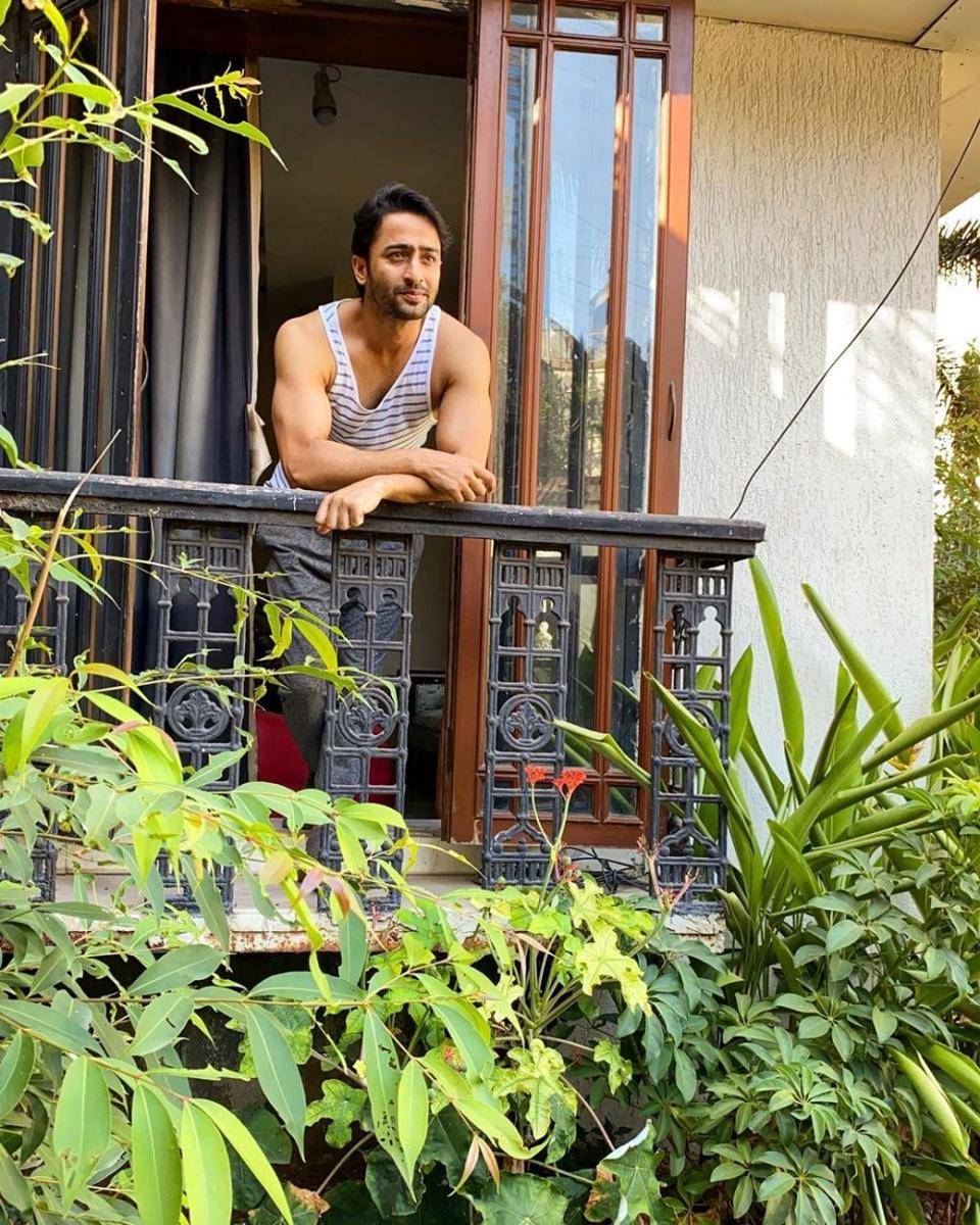 instagram.com/shaheernsheikh