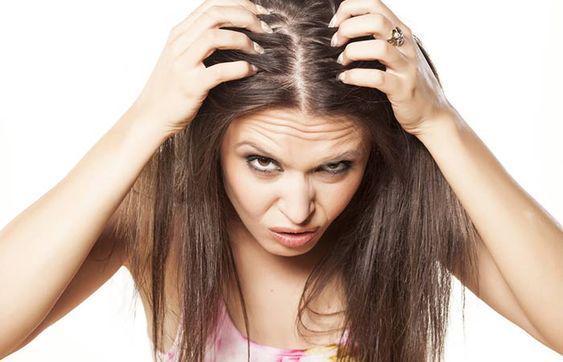 6 Bahan Alami untuk Mengatasi Masalah Rambut dan Kulit Kepala