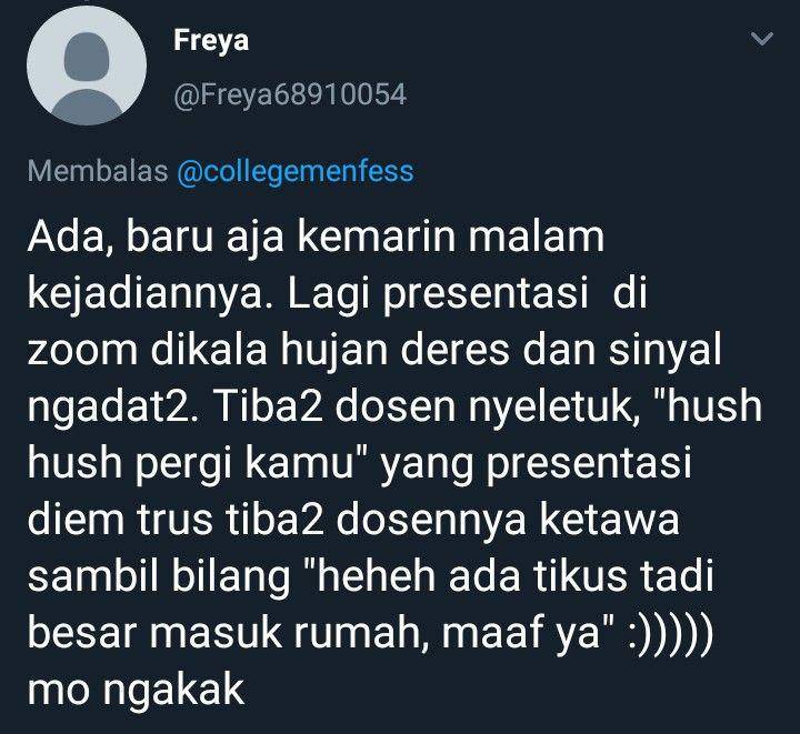 twitter.com/Freya68910054
