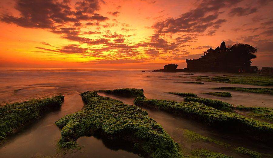 indonesia.tripcanvas.co