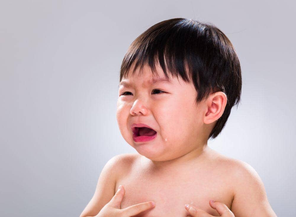 yourwholebaby.org