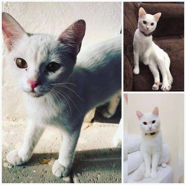 Instagram.com/abby_and_luna