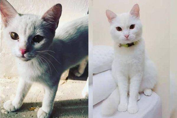 Instagram.com/abby_and_luna