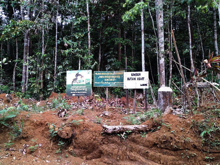 Mengungkap Krisis Lingkungan dan Hutan di Indonesia: Konflik Agraria