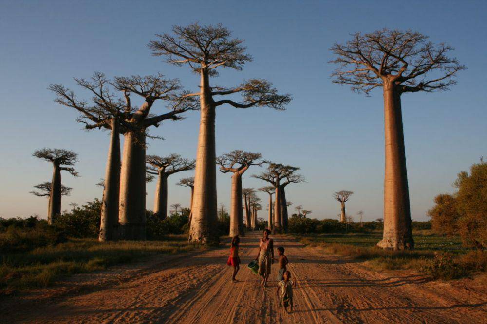 Madagaskar (travel2madagascar.com)