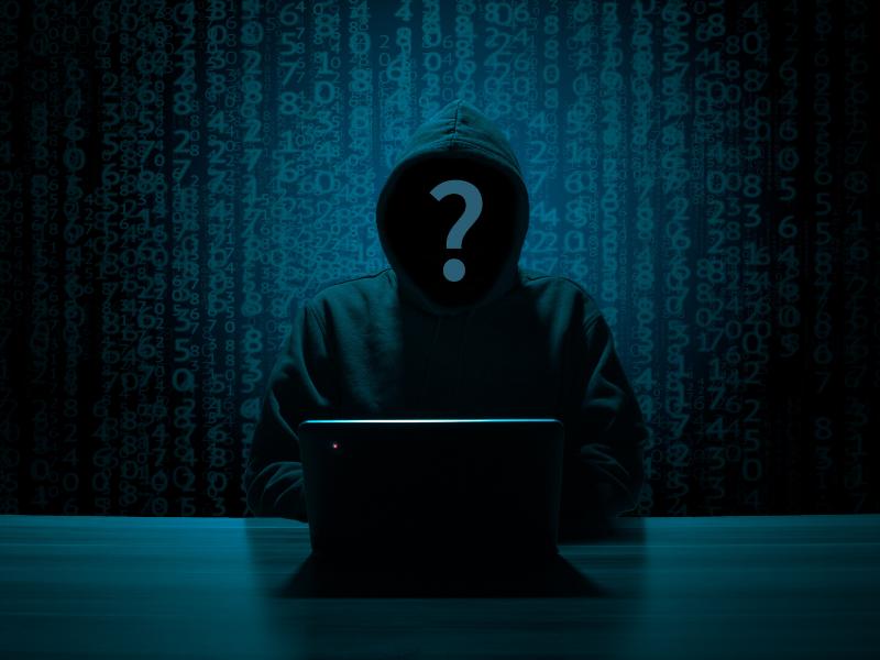 Marak Isu Hacking, Diduga 4 Subdomain Pemkot Bandar Lampung Diretas