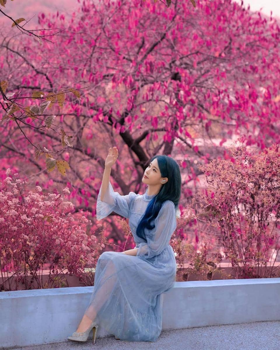 Instagram.com/iu_leejieun516