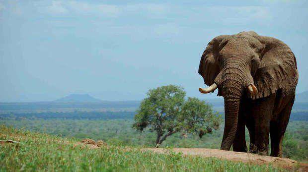 zsl.org
