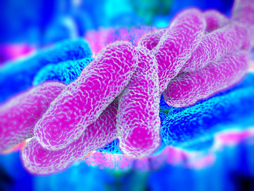 Jajanan Maut di KBB Ternyata Mengandung Bakteri Bacillus Cereus