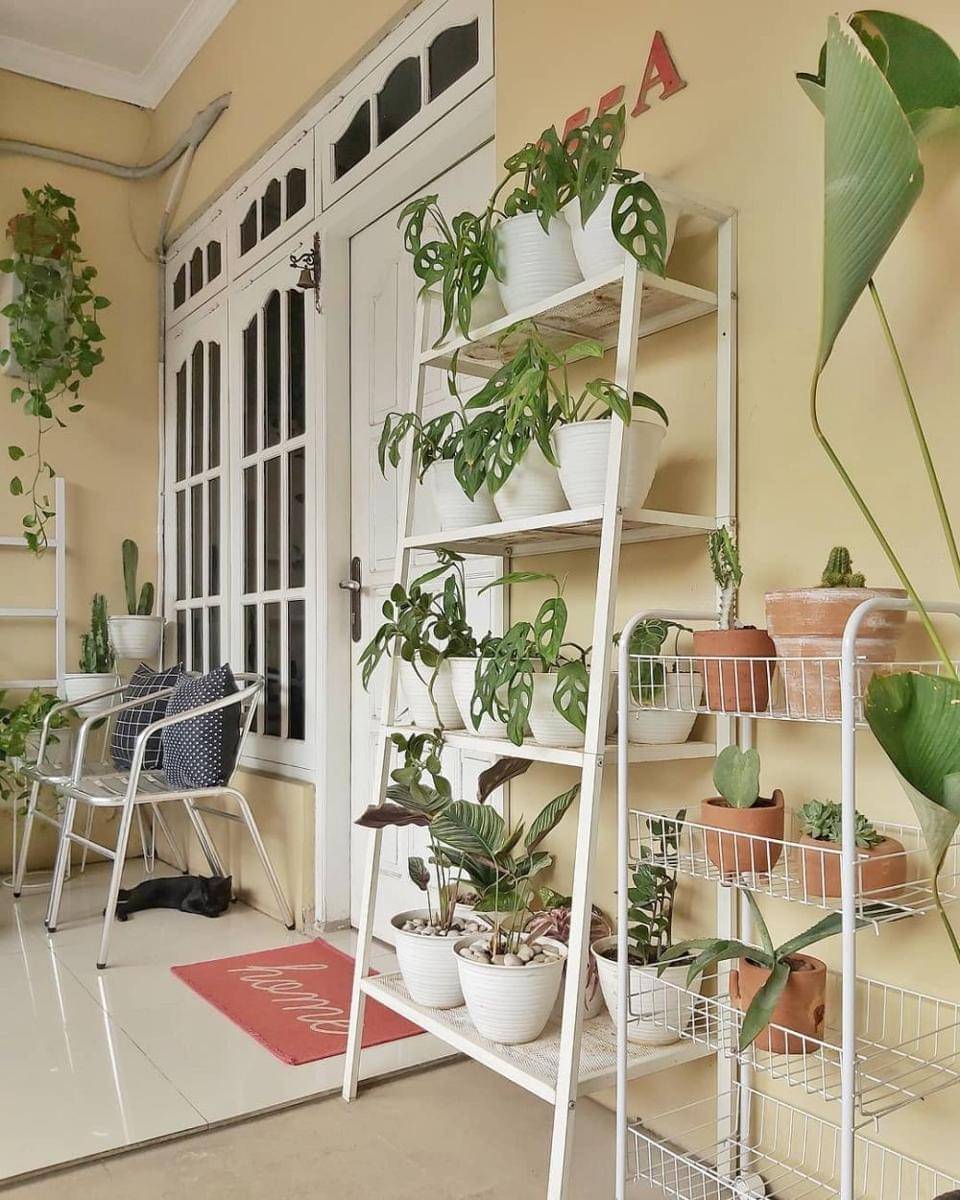 instagram.com/heshom29