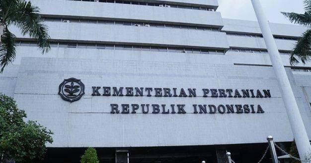 IDN Times/Kementan