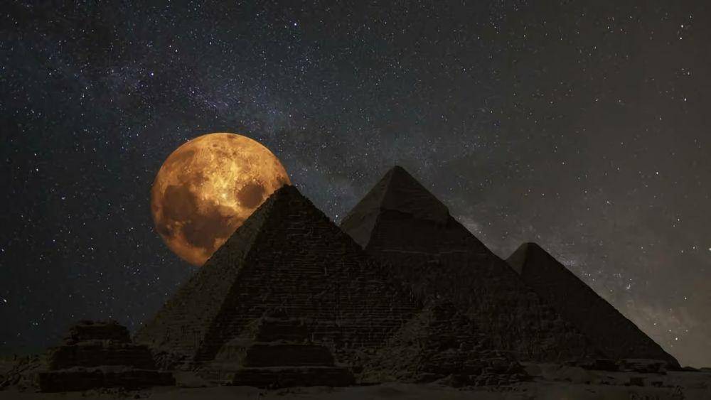 minervagroupegypt.com