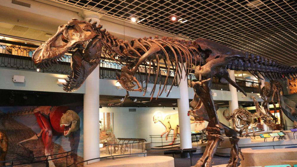 10 Museum Sains Terbaik di Dunia, Inspirasi Inovasi dan Wisata Sejarah
