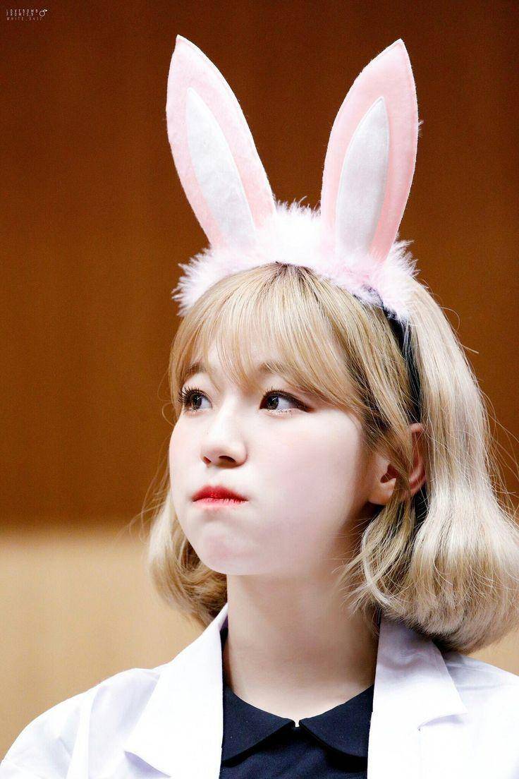 twitter.com/kkulgiheon