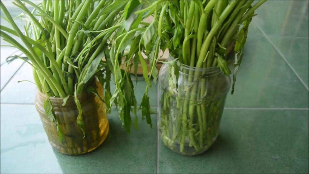 YouTube/Angelina Kusuma