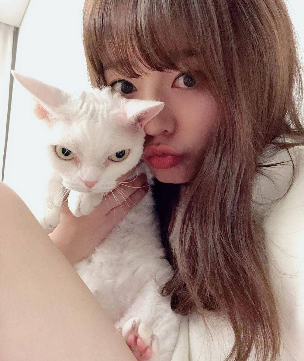 Instagram.com/515sunnyday