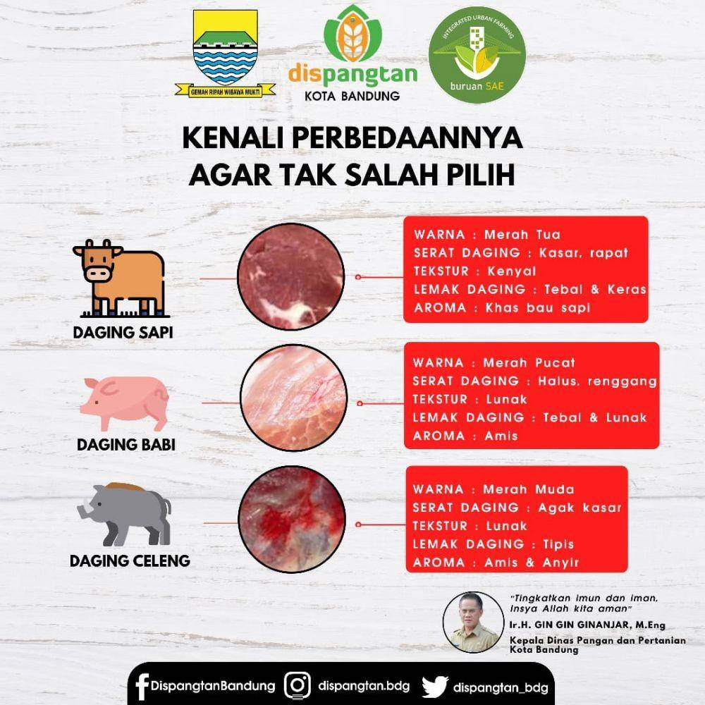 IDN Times/Humas Bandung