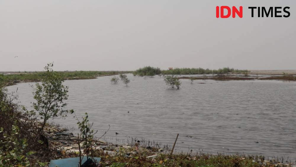 Suasana Pulau G yang berganti nama menjadi Pantai Maju (IDN Times/Vanny El Rahman)