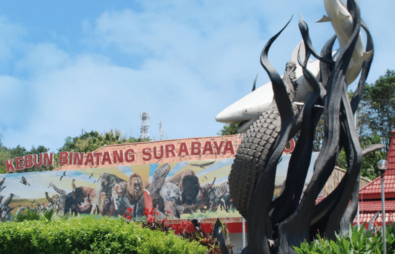 bisniswisata.co.id