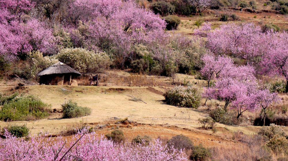 Gagal Bebas Corona, Intip 5 Tempat Wisata di Kerajaan Lesotho Ini