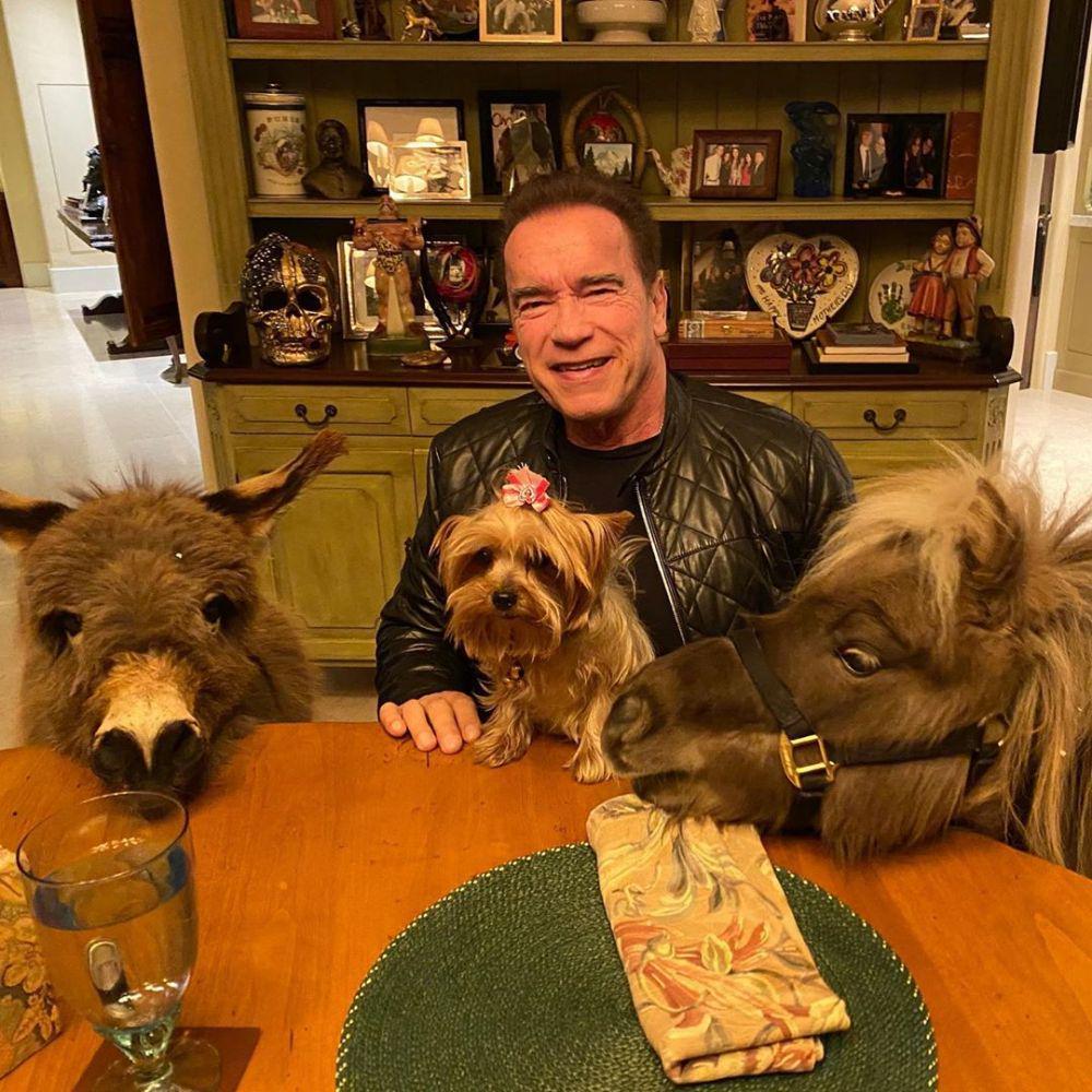 instagram.com/schwarzenegger