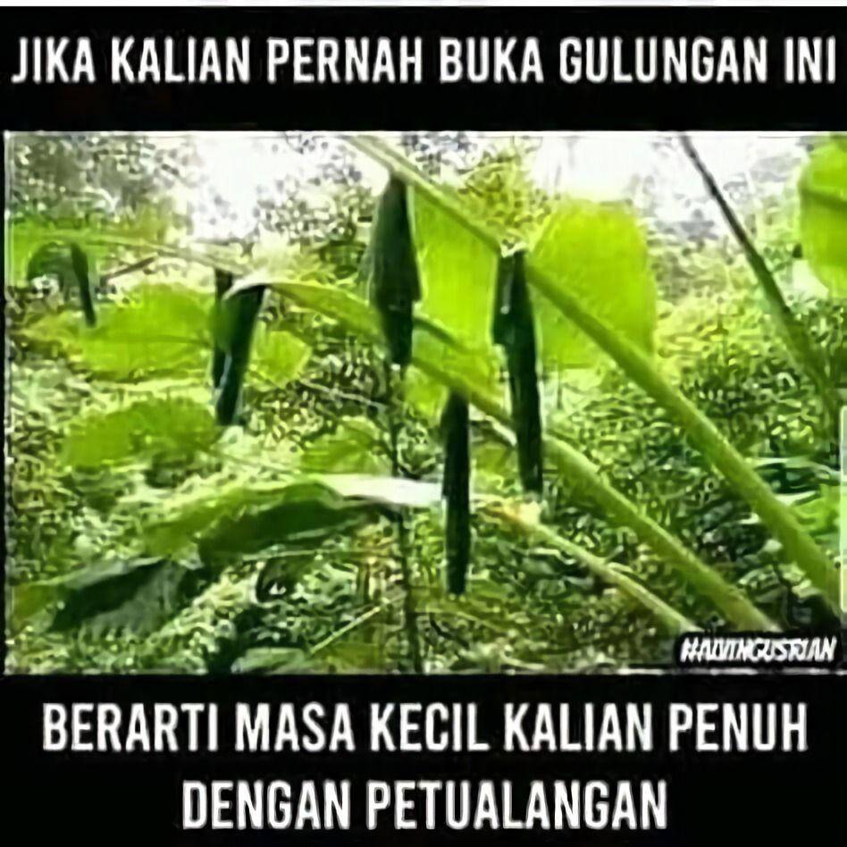 Instagram.com/generasijadul90an