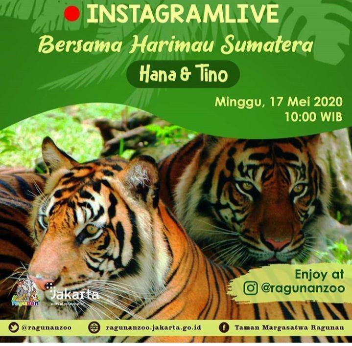 Instagram@ragunanzoo