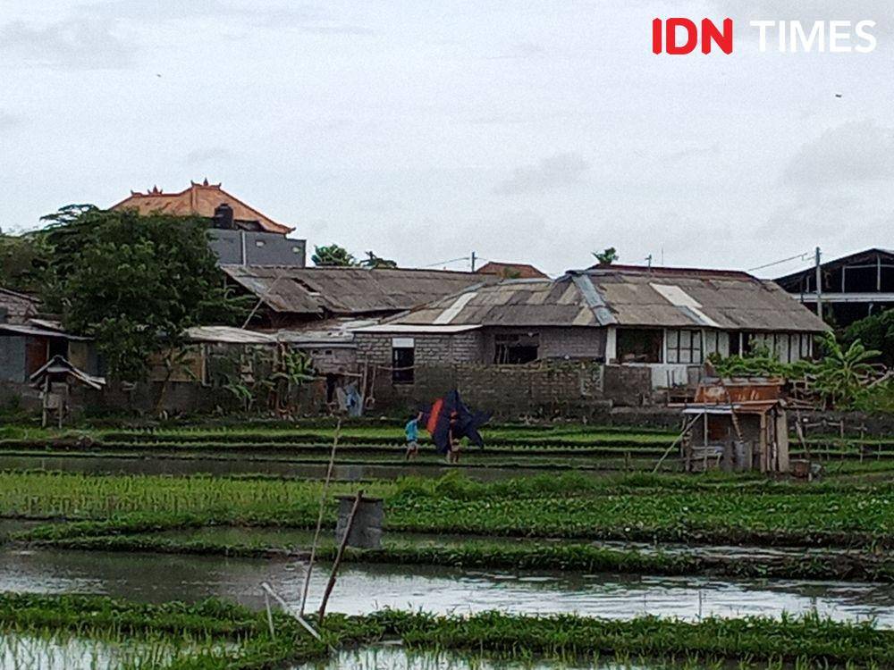Anak-anak bermain layang layang di sawah dekat pemukiman (IDN Times/Ayu Afria)