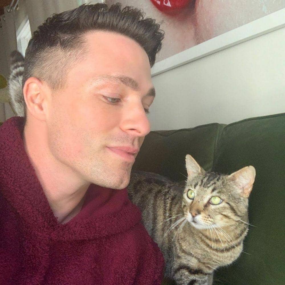 Instagram.com/coltonlhaynes