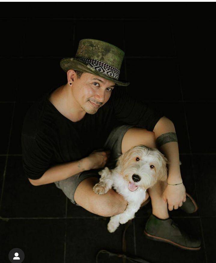 Instagram.com/tail_wagging/