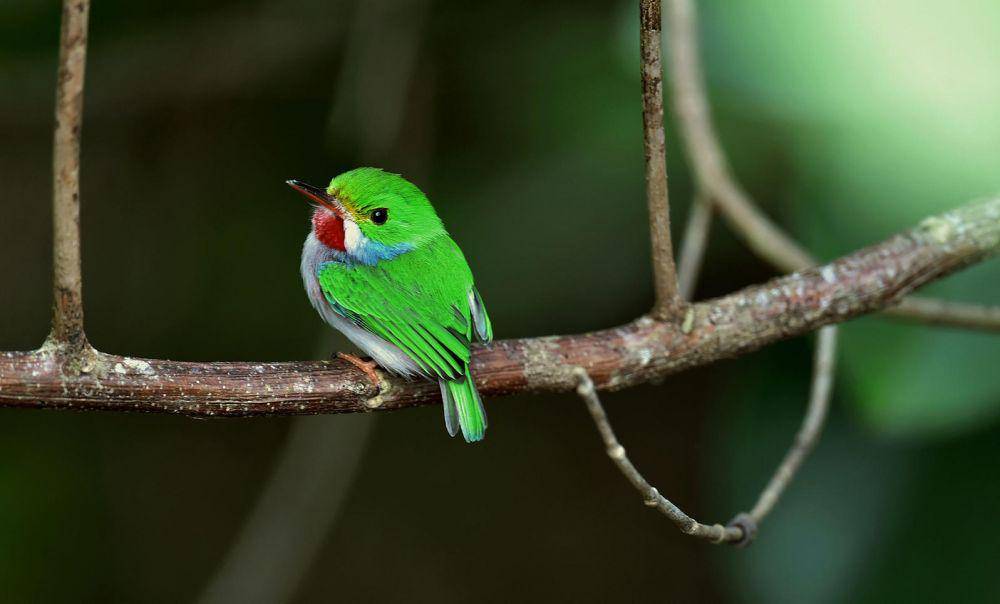audubon.org