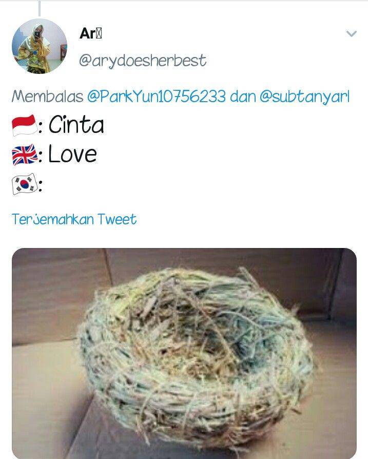 Twitter.com/arydoesherbest