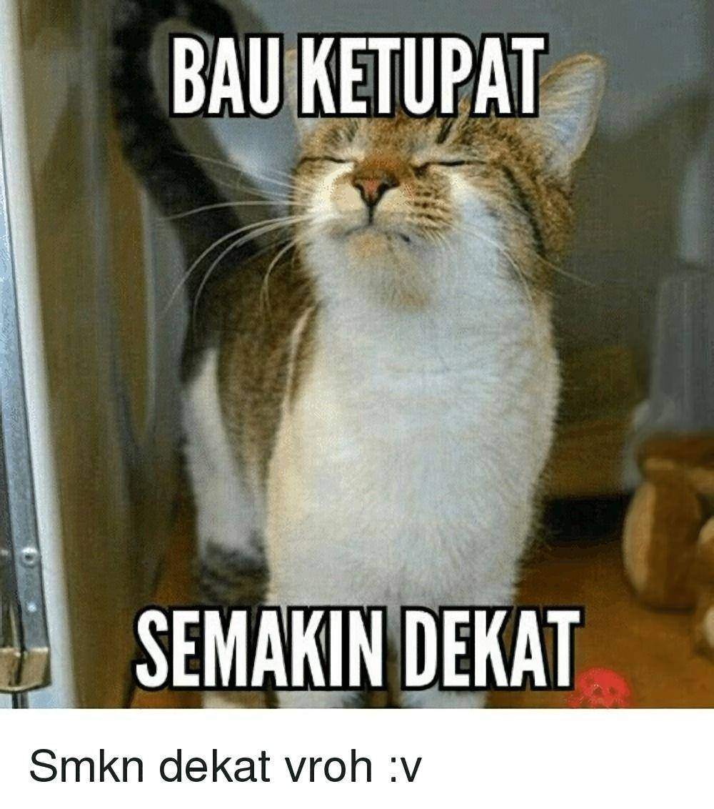 me.me