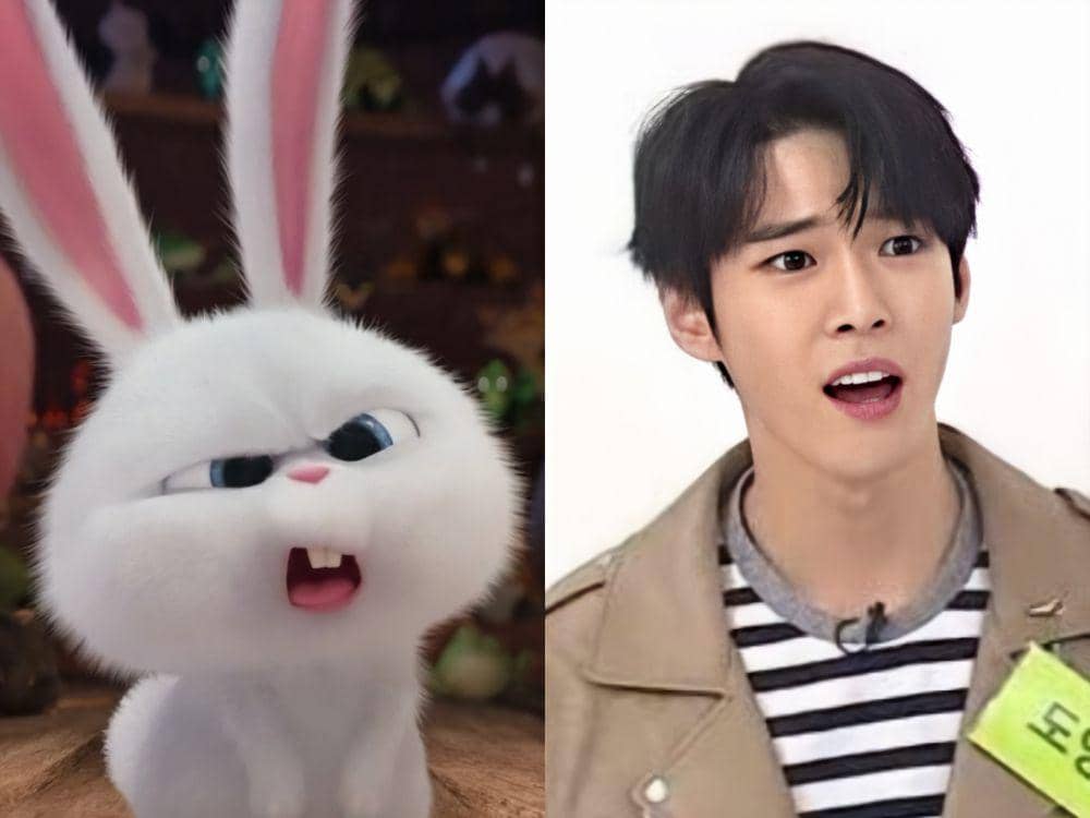 twitter.com/dodoybunny