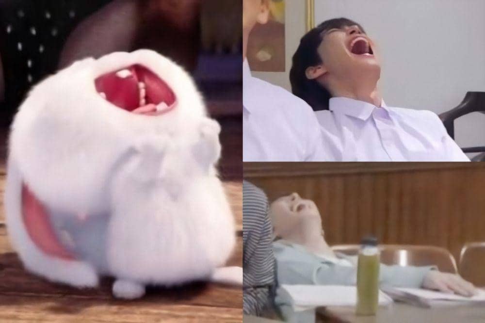 twitter.com/sweetiedoie