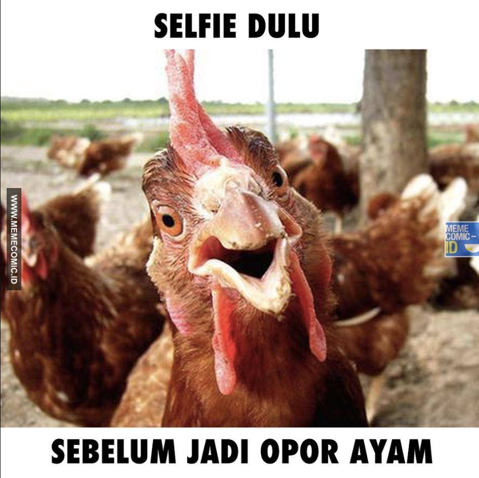 memecomic.id