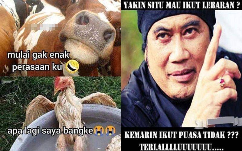 Berbagai Sumber