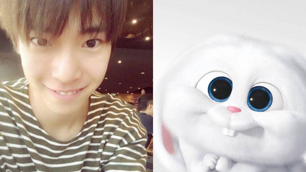 twitter.com/doymoodbooster