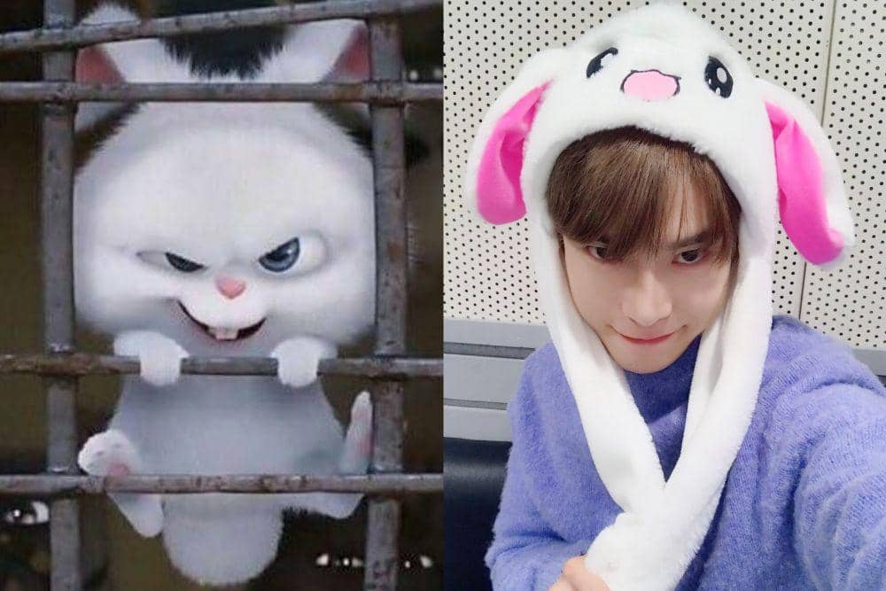 twitter.com/dodoybunny