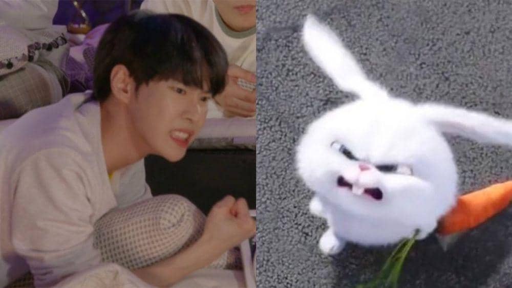 twitter.com/dobunnynan