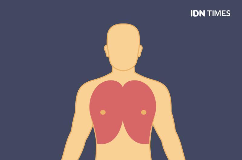 Kenapa Kamu Perlu Melatih Otot Dada?