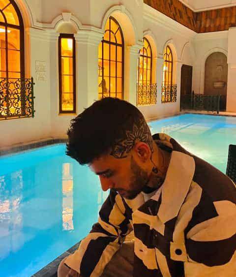instagram.com/zayn