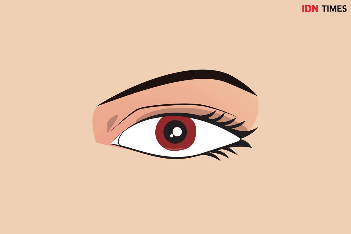 ilustrasi mata (IDN Times/Arief Rahmat)