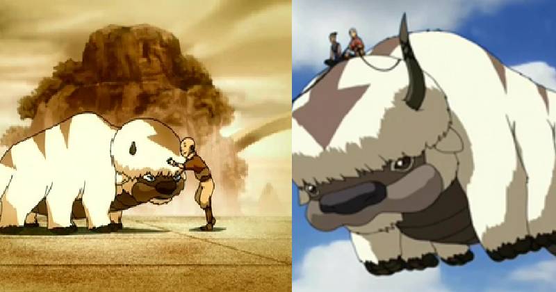 8 Fakta Appa, Bison Terbang Teman Sejati Avatar Aang!