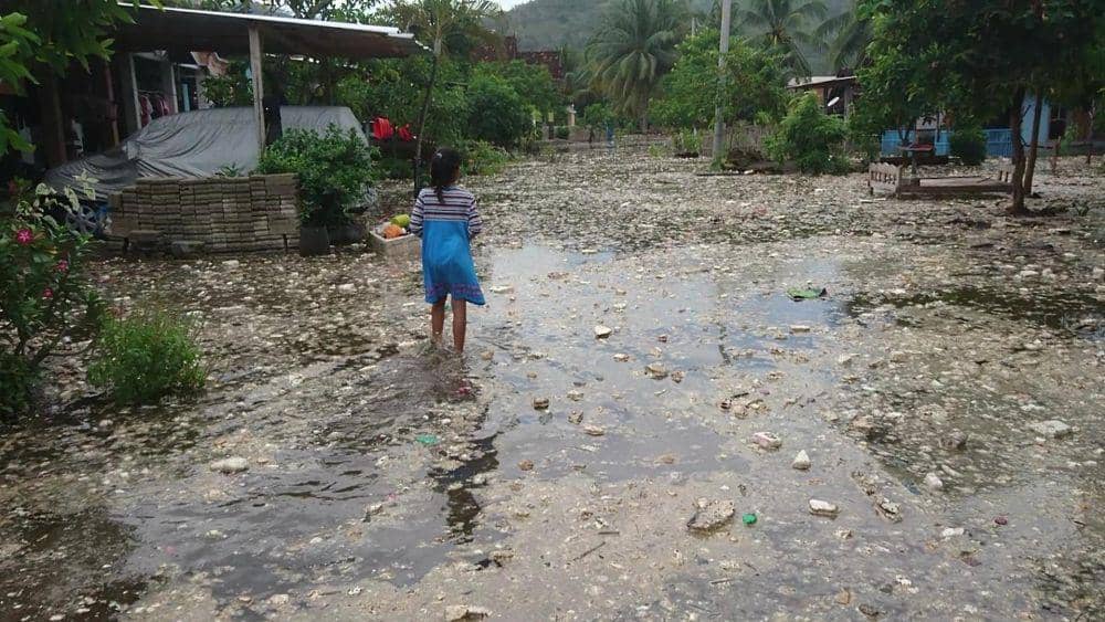 Puluhan Bangunan di Tulungagung Rusak Terkena Banjir Rob