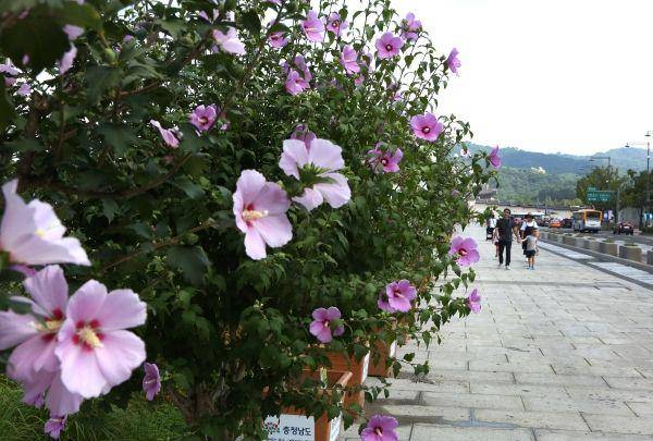 Womennews.co.kr