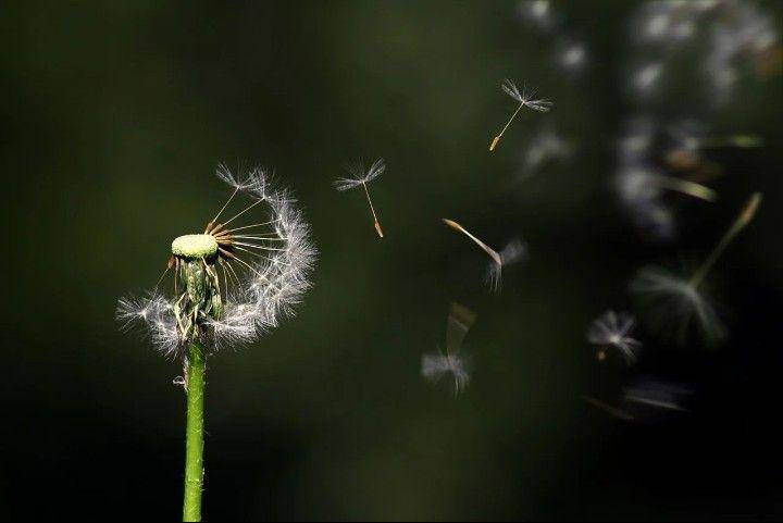 pixabay.com/ArtCoreStudios