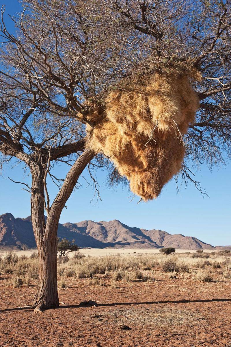 nationalgeographic.org