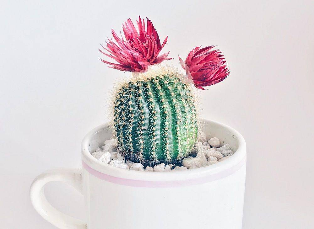 unsplash/Stephanie Harvey